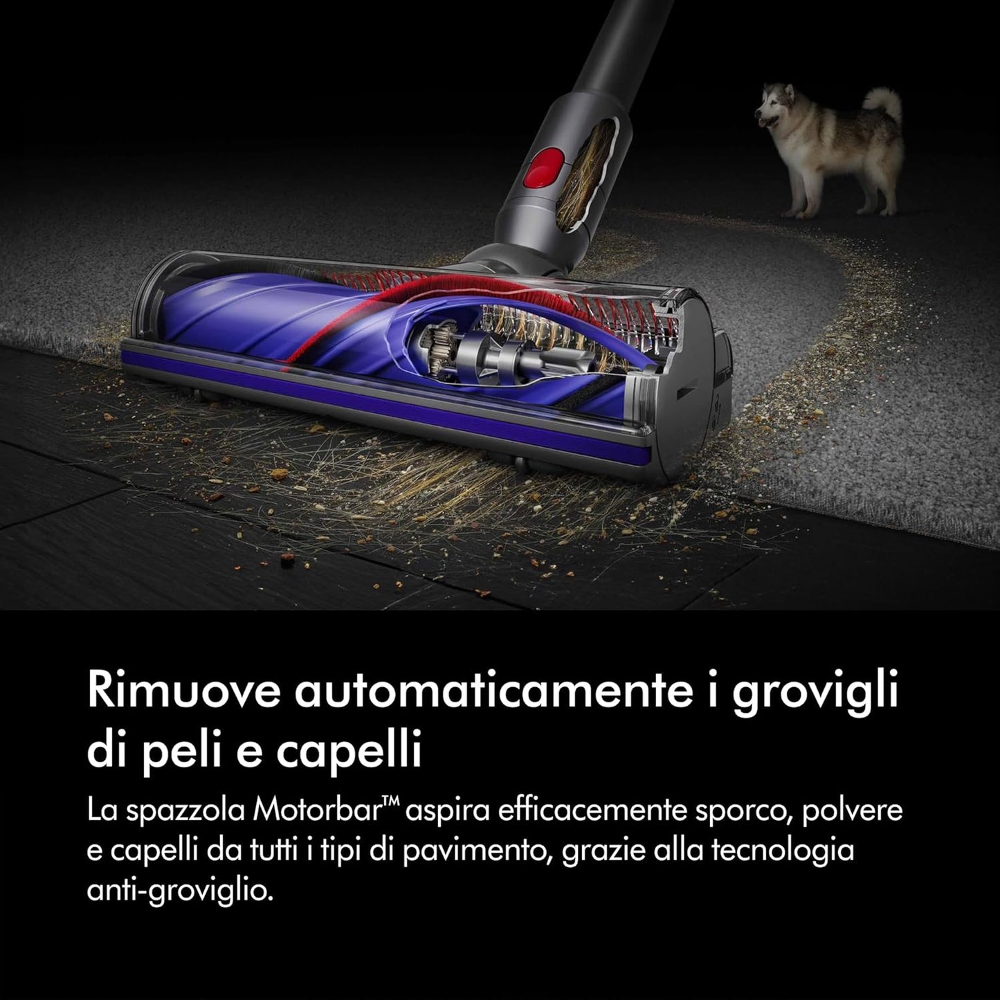 Dyson V8 Absolute™ Aspirapolvere senza filo – 115 AW